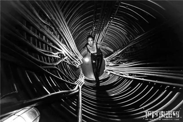 神奇女侠死侍黑亚当联合主演新片,杰森斯坦森与神奇女侠新片