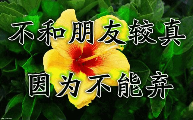 难忘老同学相聚,难忘同窗情诗词祝福语