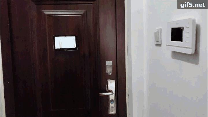 斑点猫智能家居,斑点猫智能家