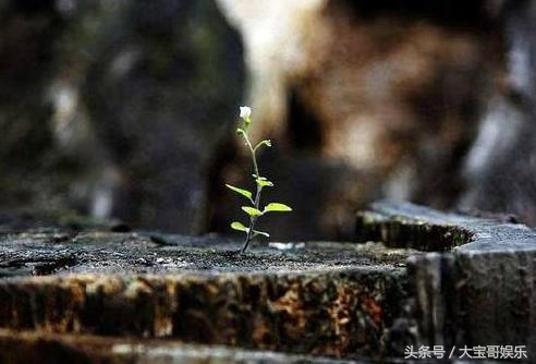 心理测试秒测你有没有享福命,心理测试测出你明年的困境是什么