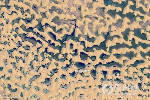 世界上最不缺水沙漠,世界最干的沙漠出现湖泊