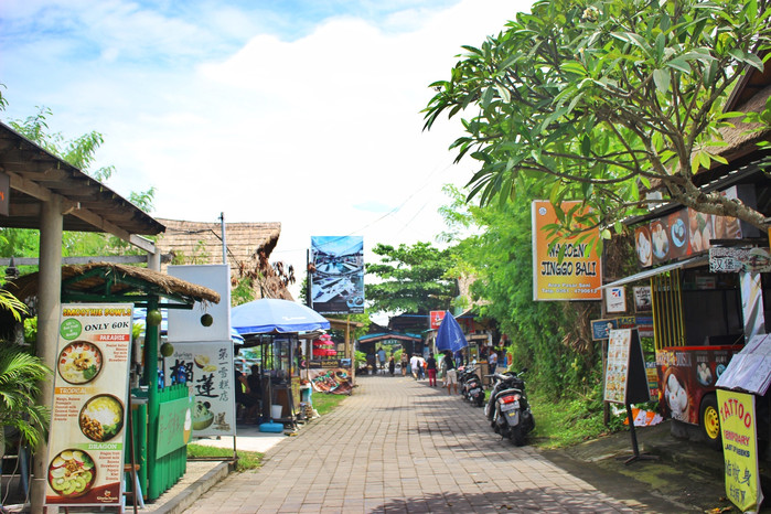 巴厘岛怎么玩省钱又舒服,巴厘岛攻略自由行详细