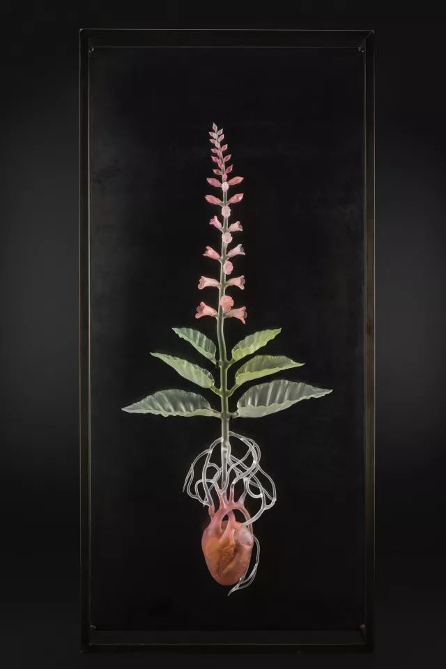 玻璃艺术展示,玻璃艺术之美