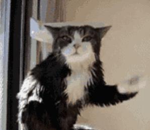 上海今日入梅标准是什么,今日入梅养生知识