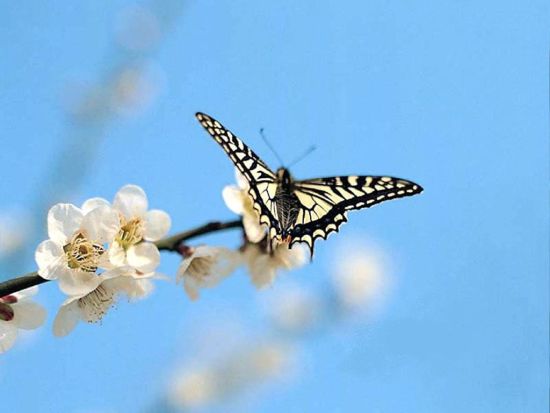 相爱简单相处难下一句,怎么让相爱的人感情越深