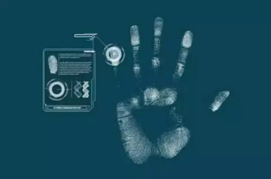 早报-ofo推出新一代信用积分体系；网红粉丝规模接近6亿