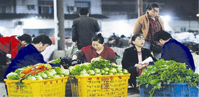 总有一款适合你春耕备耕进行中,现代农业案例分享