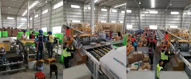 总有一款适合你春耕备耕进行中,现代农业案例分享