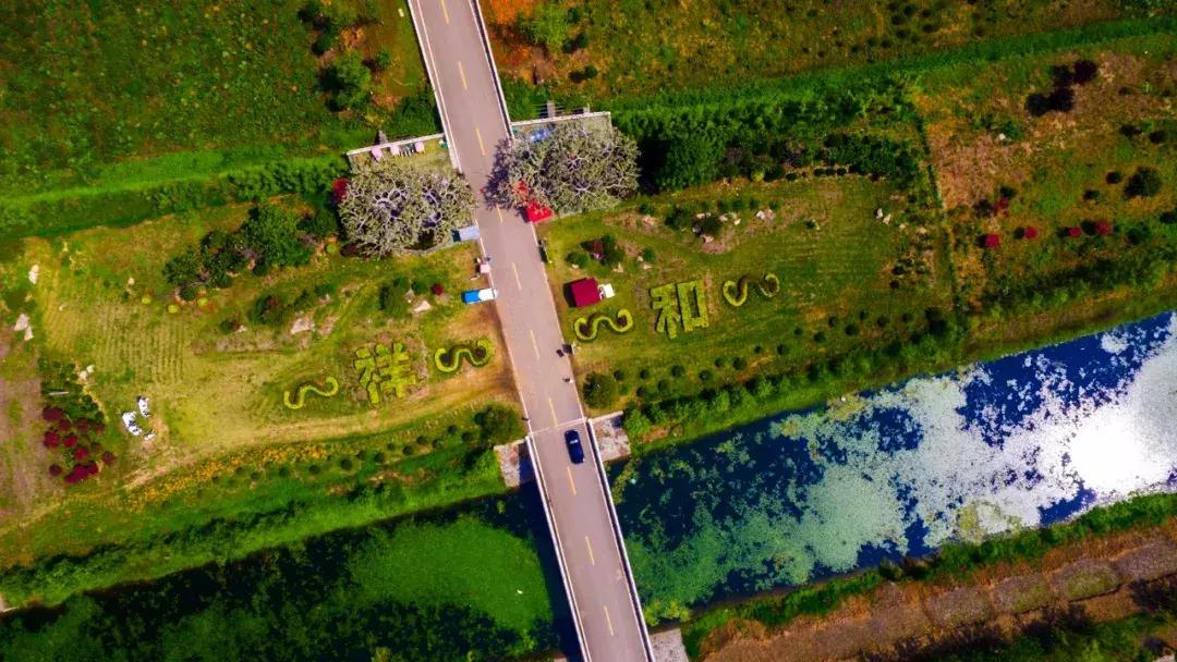 台儿庄古城最新免票政策,台儿庄古城对临沂人免门票吗