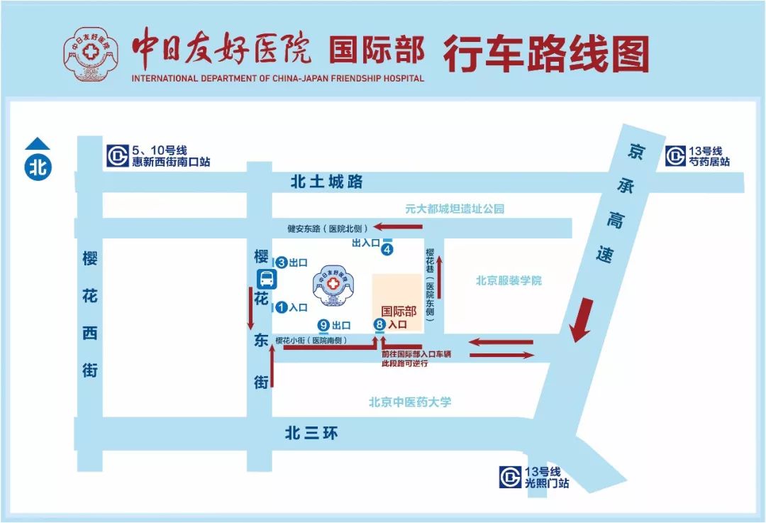 龋病科普——小洞不补，大洞吃苦！