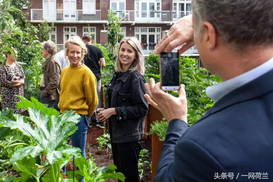 这家华人酒店有来头，海牙市长参观天台花园