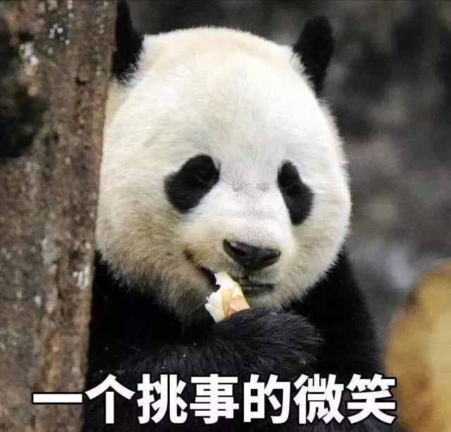 男朋友又胖又矮又丑怎么办,男朋友长得丑是一种怎样的体验