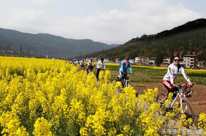 农村致富赚钱项目有哪些,农村致富项目一年四季有收益