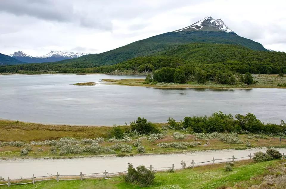 世界杯决赛潘帕斯雄鹰高卢,世界杯潘帕斯进球