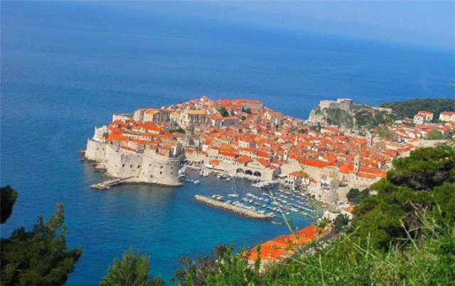 世界杯决赛潘帕斯雄鹰高卢,世界杯潘帕斯进球