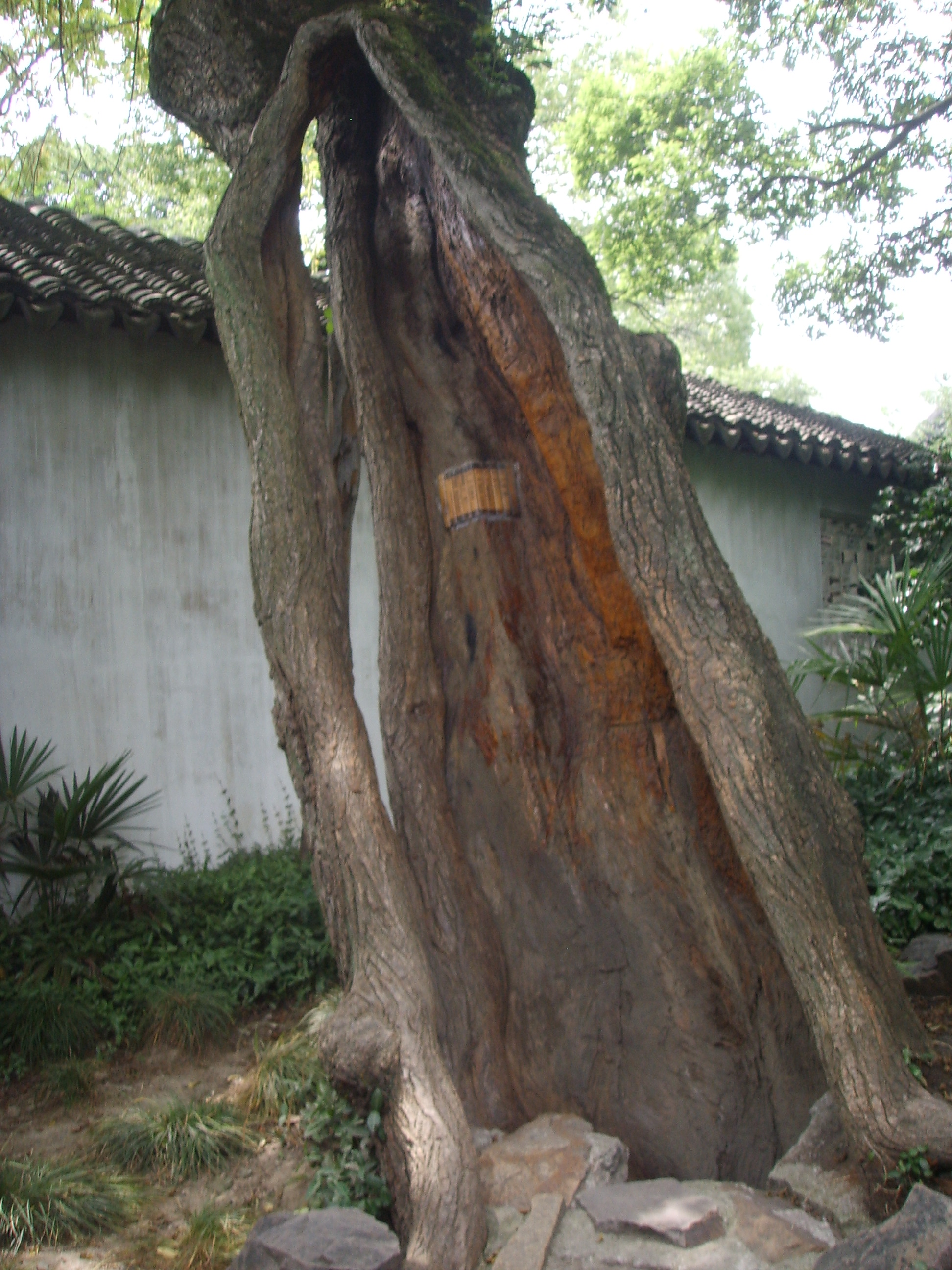 苏州园林的精品拙政园,苏州园林的拙政园故事