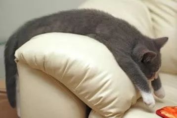 感冒10天了老是不好怎么办,感冒10多天了不好头晕