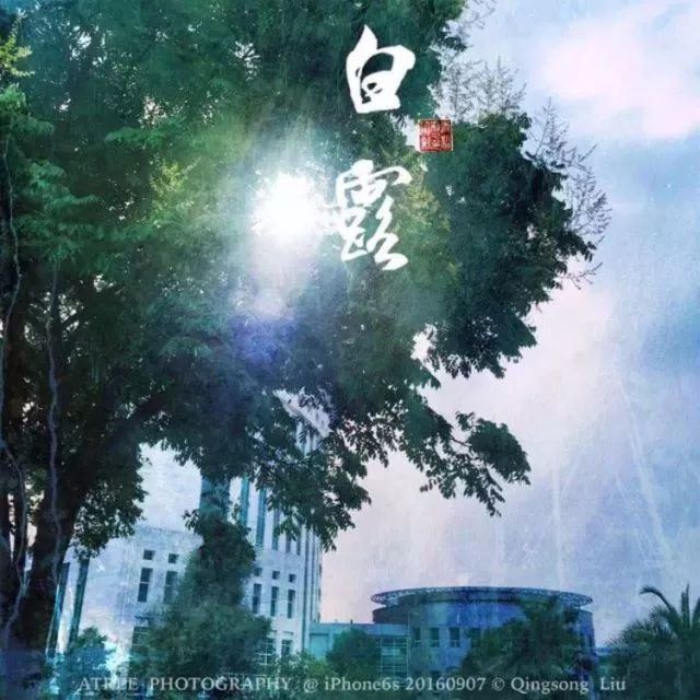 夏至在最短的夜陪你做最长的梦,夏至是白天对你思念最长的一天