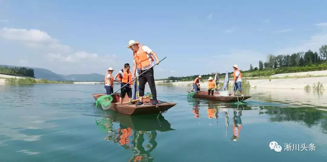 淅川来了仨“老外”，干啥？