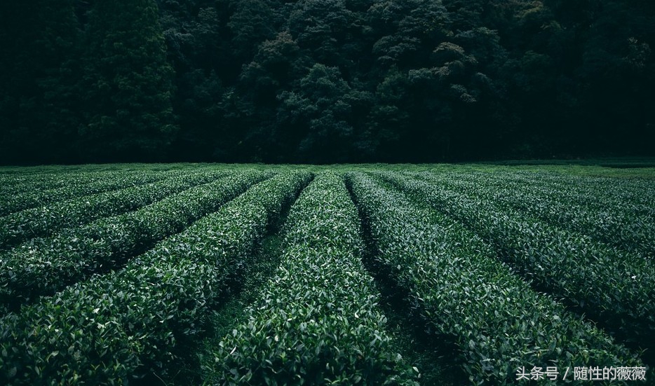 保持年轻的9个秘诀,童颜不老美白秘诀