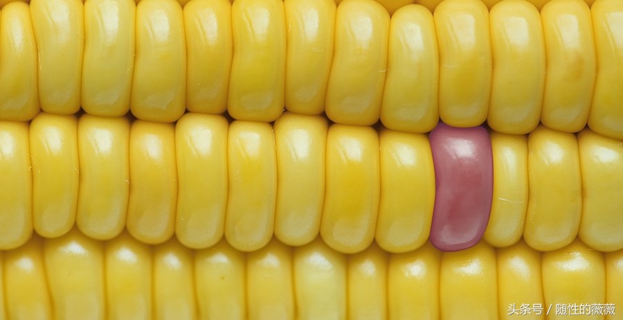 保持年轻的9个秘诀,童颜不老美白秘诀