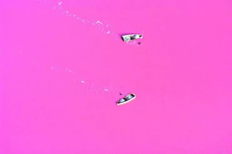 生于1990原作,生于1990解释