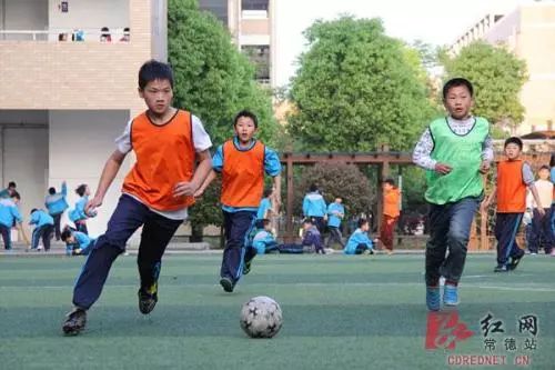 全国示范学校常德,湖南省体育传统特色学校常德名单