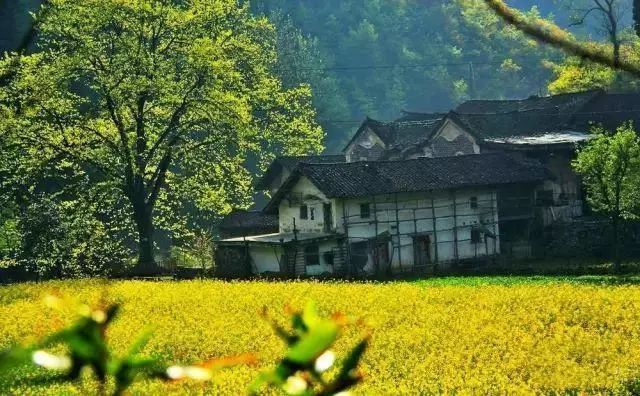 最美县域榜单2021,2020甘肃最美县域榜单