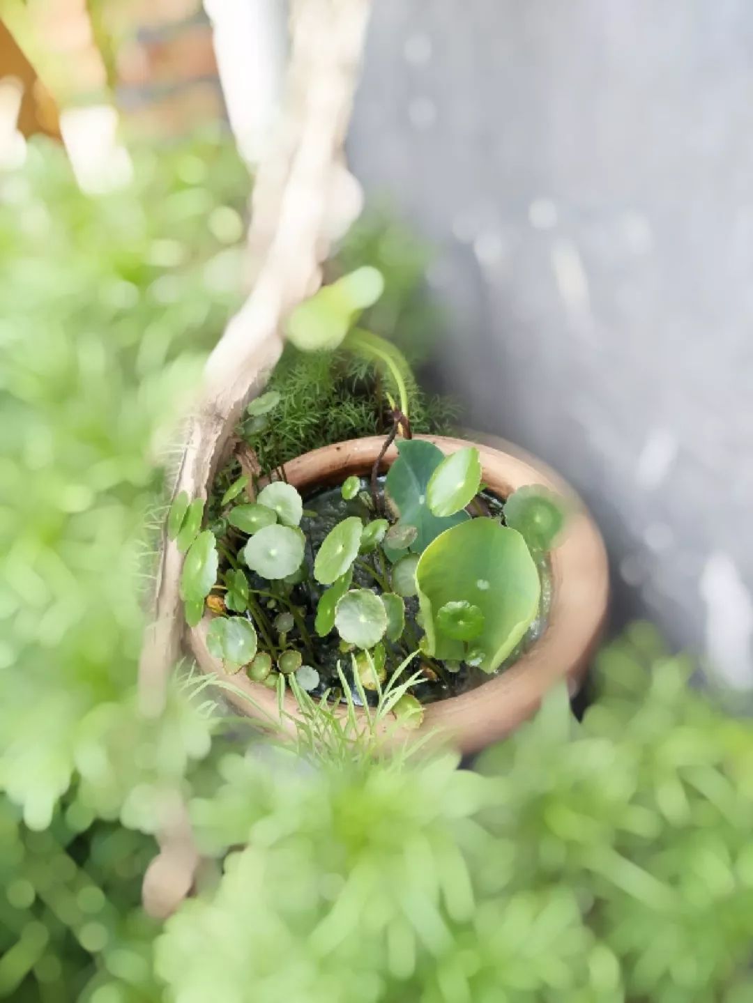 家里摆放凌乱废旧物品,家里的这些旧物别急着扔