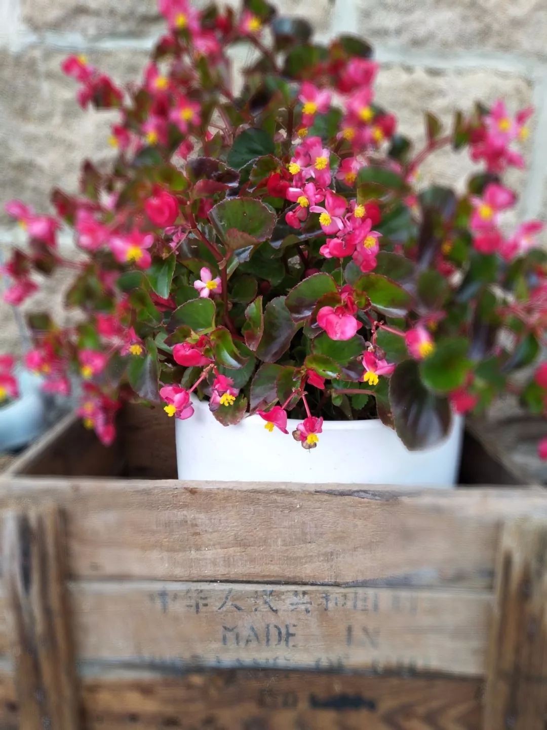 家里摆放凌乱废旧物品,家里的这些旧物别急着扔