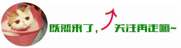 醋疗治百病,醋能治病的偏方