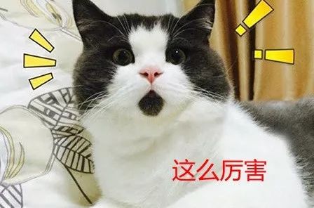 小库里三分,小库里三分10中0