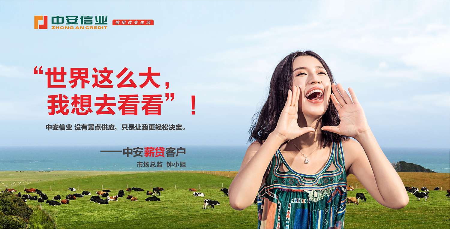 涓浗灏忛璐锋鍏徃鍏磋捣鍝勾,涓浗绗竴涓垚绔嬬殑鍏徃