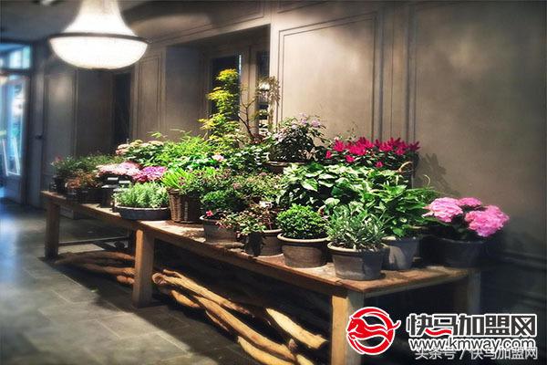 开一家花店利润如何,开一家花店如何才能赚钱