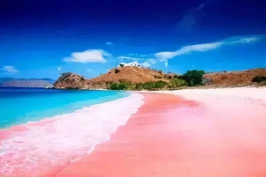 白本护照旅行攻略,白本护照全球旅游路线