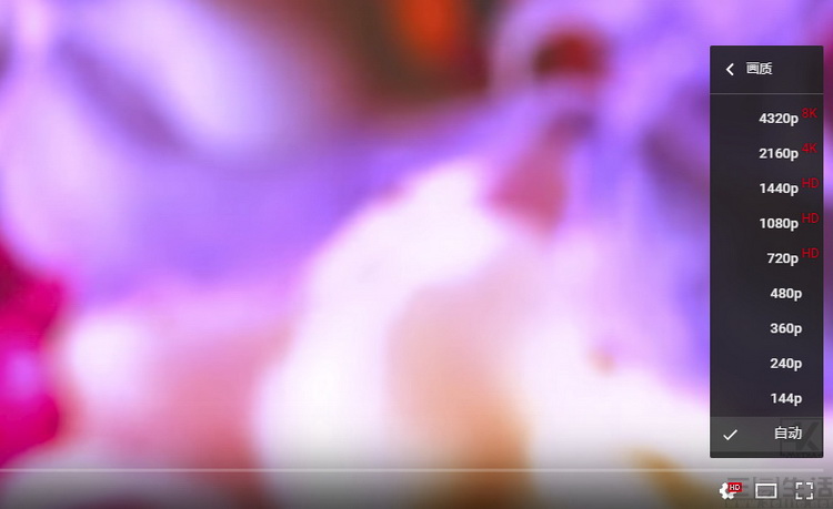 世界杯视频网站哪里能看,世界杯看不到的画面