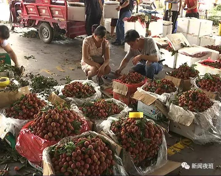广西荔枝现在情况,广西荔枝最新情况