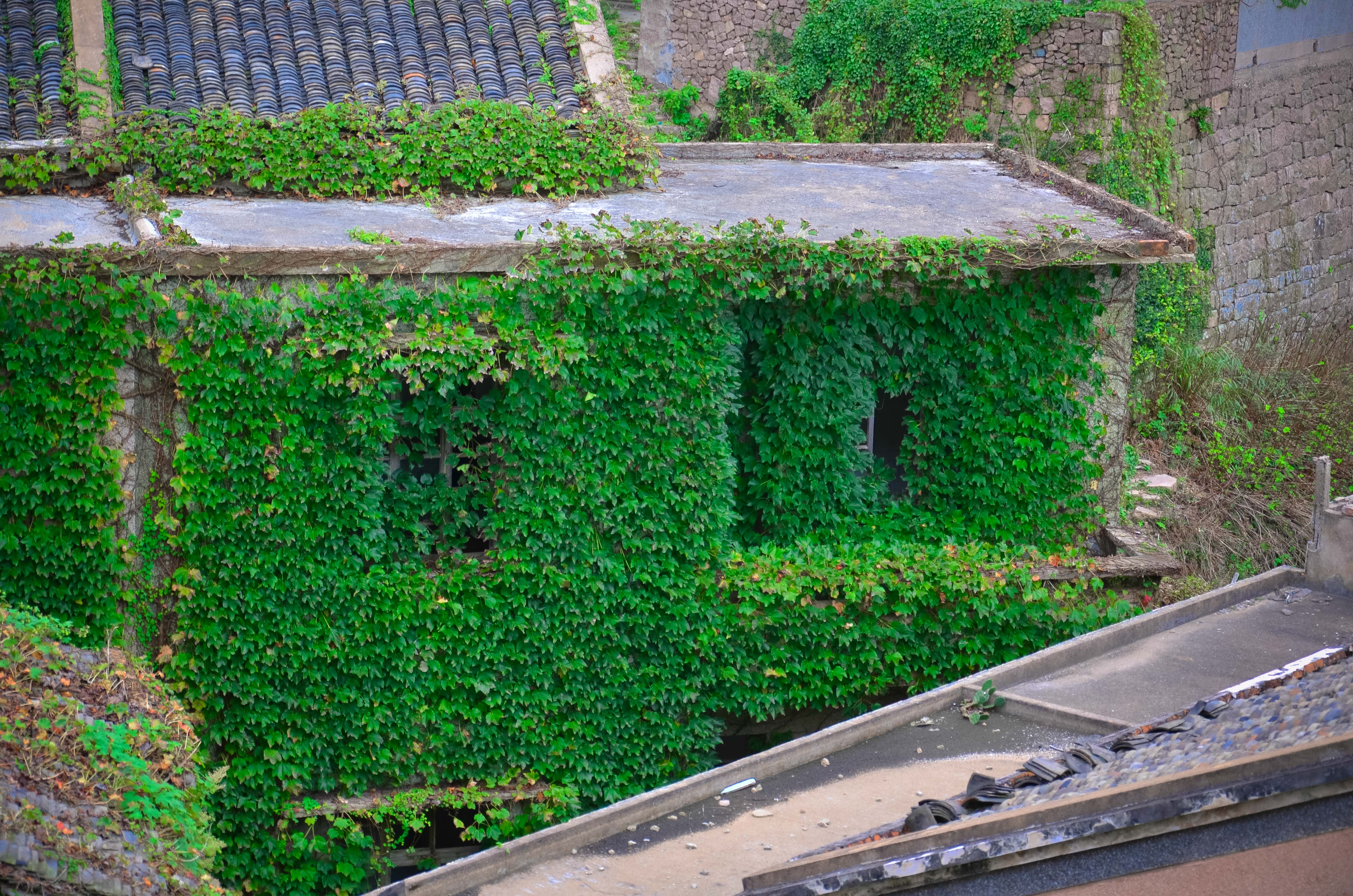 嵊山岛和枸杞岛住宿哪个好,嵊山中国最东岛屿