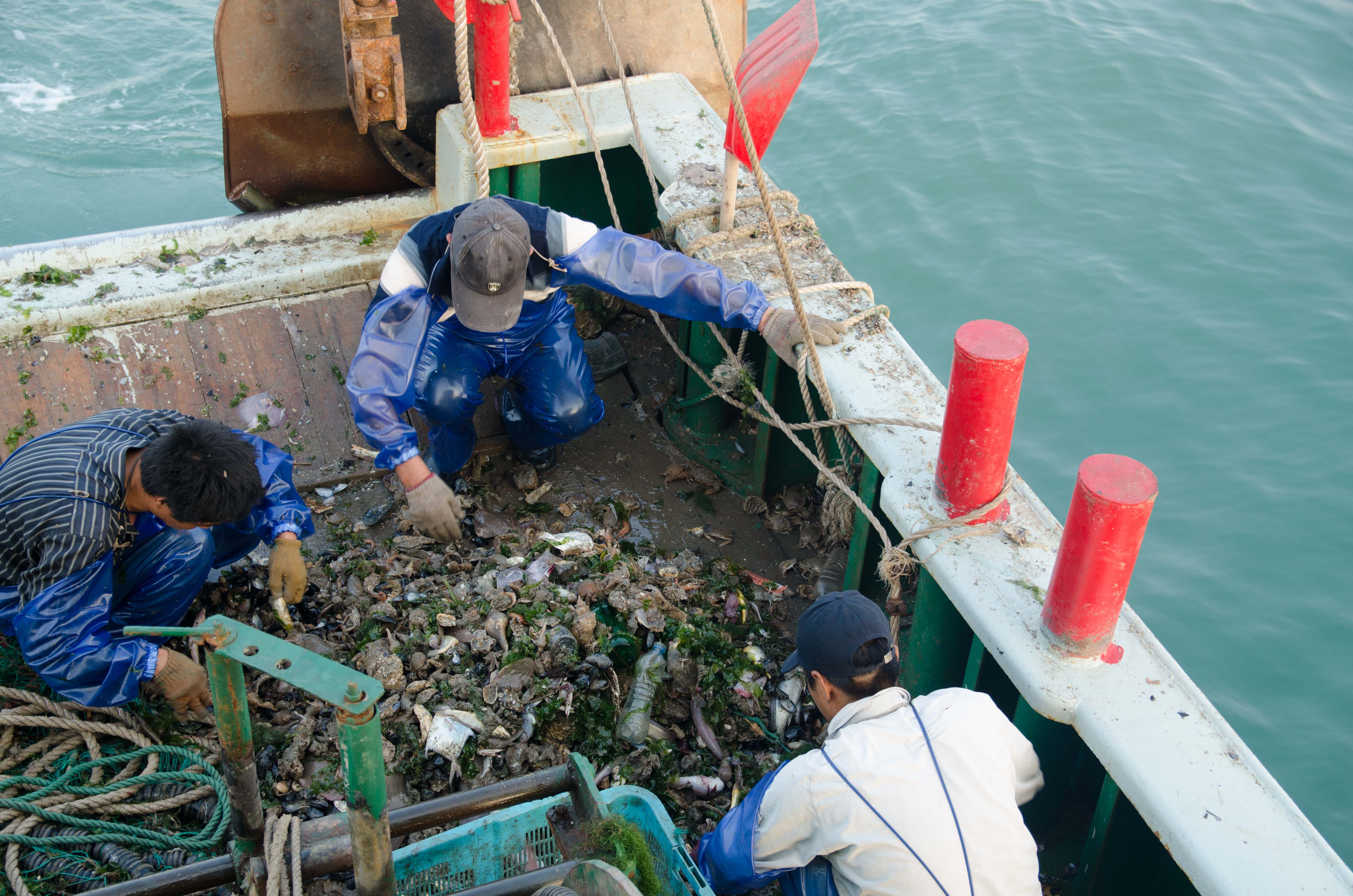 嵊山岛和枸杞岛住宿哪个好,嵊山中国最东岛屿