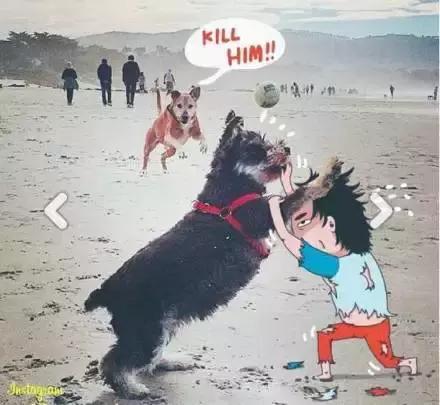 酷萌可爱插画,呆萌可爱的插画