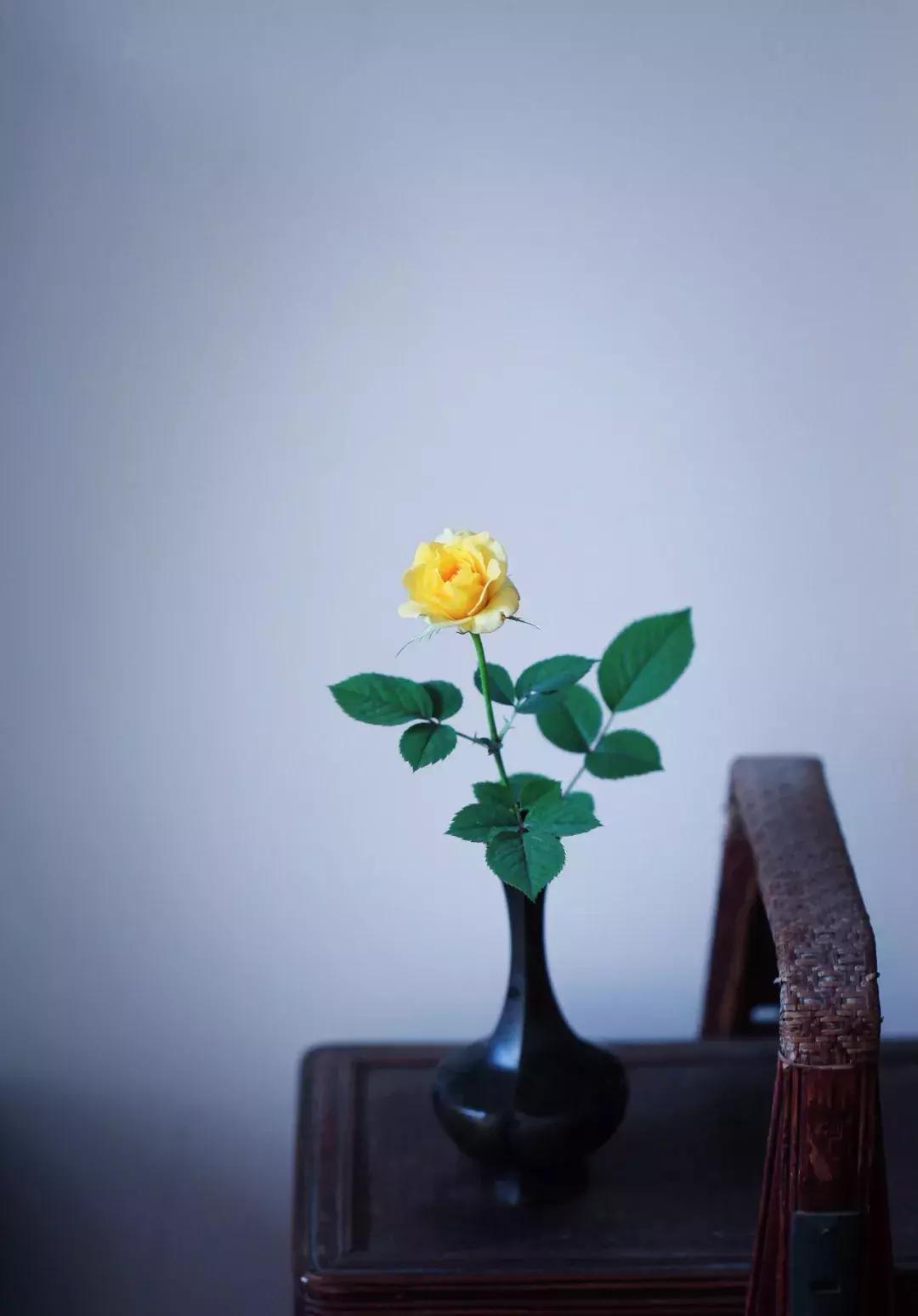 心若安怡万般自在,心若安然处处静美