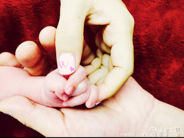 陈晓张杰综艺,张杰陈晓袁弘董子健