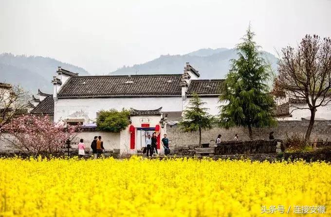 安徽这座城市被评为十大魅力城市,安徽最受重视的县