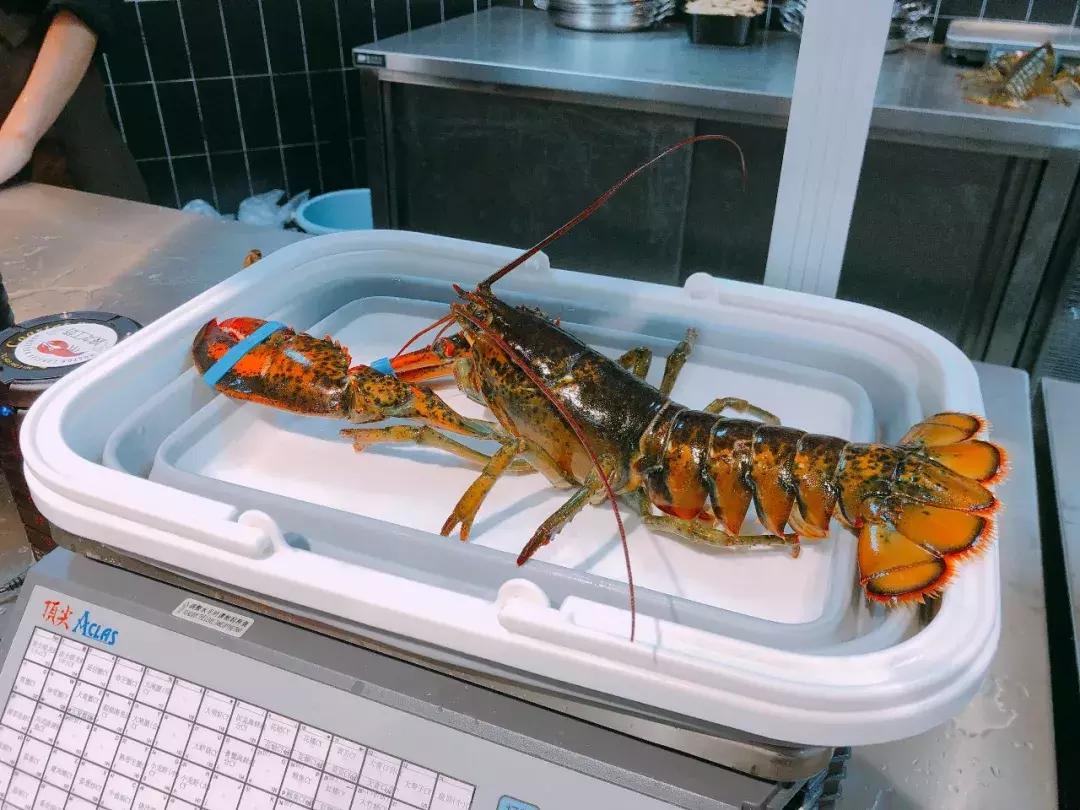 在北京吃只大龙虾只要70块？我被这家超市实力圈粉了！