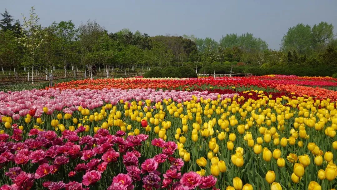 时光游合肥,时光旅行图集