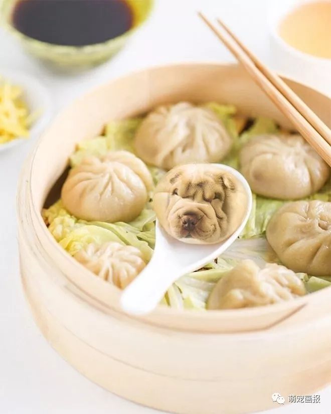 可以吃的汪星人：摄影师把狗狗和美食结合在在一起