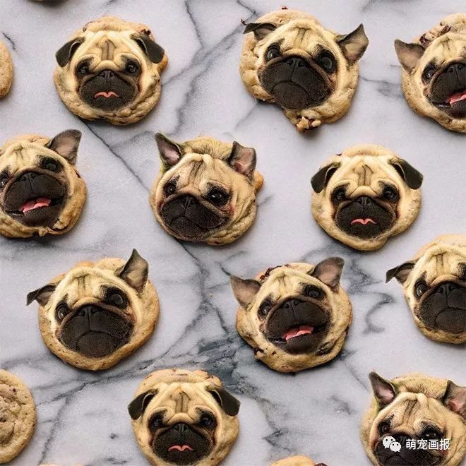 可以吃的汪星人：摄影师把狗狗和美食结合在在一起