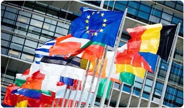 用经济学解释经济现象,足球全局解析