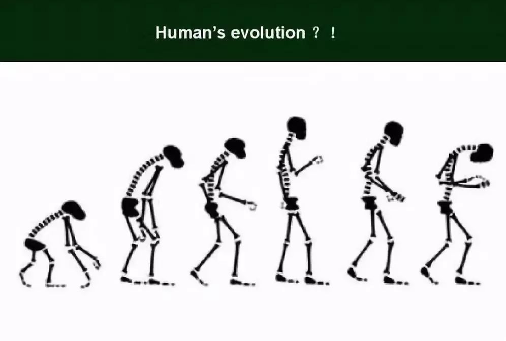 复联3大战完整版,复联3免费正片