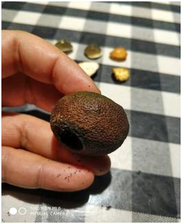 小青柑普洱茶如何辨别真假,小青柑普洱茶如何辨别